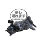 キル君スタンプ2（個別スタンプ：4）