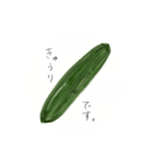 おやさいまいにち（個別スタンプ：12）