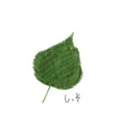 おやさいまいにち（個別スタンプ：13）