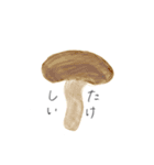 おやさいまいにち（個別スタンプ：14）