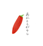 おやさいまいにち（個別スタンプ：16）
