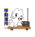 ネコちゃん無線スタンプ（個別スタンプ：20）