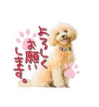 ゆるっとコロモコすたんぷ♪（個別スタンプ：1）
