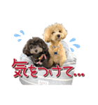 ゆるっとコロモコすたんぷ♪（個別スタンプ：3）
