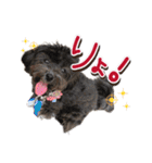 ゆるっとコロモコすたんぷ♪（個別スタンプ：6）
