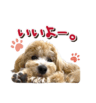 ゆるっとコロモコすたんぷ♪（個別スタンプ：8）