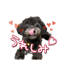 ゆるっとコロモコすたんぷ♪（個別スタンプ：9）