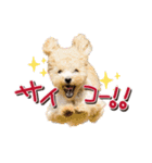 ゆるっとコロモコすたんぷ♪（個別スタンプ：10）