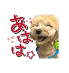 ゆるっとコロモコすたんぷ♪（個別スタンプ：12）