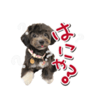 ゆるっとコロモコすたんぷ♪（個別スタンプ：13）
