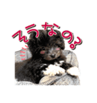 ゆるっとコロモコすたんぷ♪（個別スタンプ：14）