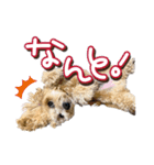 ゆるっとコロモコすたんぷ♪（個別スタンプ：18）