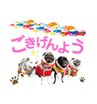 愛犬♡ハナコのスタンプ14☆（個別スタンプ：1）