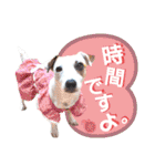 愛犬♡ハナコのスタンプ14☆（個別スタンプ：16）