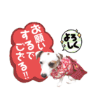 愛犬♡ハナコのスタンプ14☆（個別スタンプ：30）