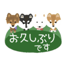 柴犬 太郎といぶき（個別スタンプ：36）