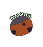 アカハラちゃんのひとりごと（個別スタンプ：39）