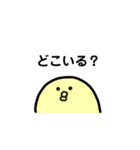 ゆるいカラフルひよこちゃん（個別スタンプ：5）