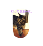 ちびたん その1（個別スタンプ：3）
