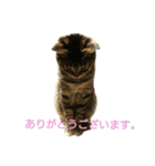 ちびたん その1（個別スタンプ：4）