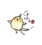 毎日がオカメインコ（個別スタンプ：2）