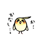 毎日がオカメインコ（個別スタンプ：3）