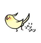 毎日がオカメインコ（個別スタンプ：8）