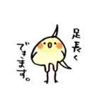 毎日がオカメインコ（個別スタンプ：13）