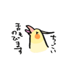 毎日がオカメインコ（個別スタンプ：15）