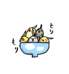 毎日がオカメインコ（個別スタンプ：16）