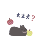 うさぎのいる日常 秋（個別スタンプ：34）