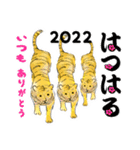 年賀スタンプ2022年トラ（個別スタンプ：30）