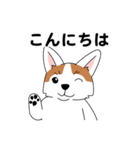 コーギーマハロの毎日（個別スタンプ：4）