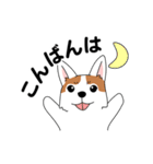 コーギーマハロの毎日（個別スタンプ：5）