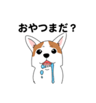 コーギーマハロの毎日（個別スタンプ：7）