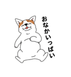 コーギーマハロの毎日（個別スタンプ：8）