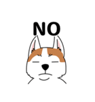 コーギーマハロの毎日（個別スタンプ：12）