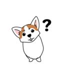 コーギーマハロの毎日（個別スタンプ：14）