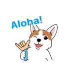 コーギーマハロの毎日（個別スタンプ：15）