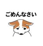 コーギーマハロの毎日（個別スタンプ：17）