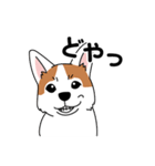 コーギーマハロの毎日（個別スタンプ：18）