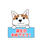 コーギーマハロの毎日（個別スタンプ：19）