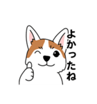 コーギーマハロの毎日（個別スタンプ：20）