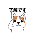コーギーマハロの毎日（個別スタンプ：21）