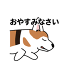 コーギーマハロの毎日（個別スタンプ：25）