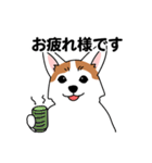 コーギーマハロの毎日（個別スタンプ：27）