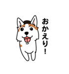 コーギーマハロの毎日（個別スタンプ：28）