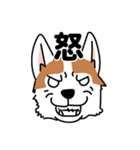 コーギーマハロの毎日（個別スタンプ：30）