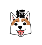 コーギーマハロの毎日（個別スタンプ：31）