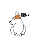 コーギーマハロの毎日（個別スタンプ：34）